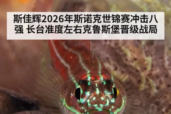 斯佳辉2026年斯诺克世锦赛冲击八强 长台准度左右克鲁斯堡晋级战局